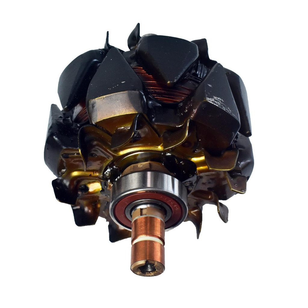 Rotor De Alternador - 1
