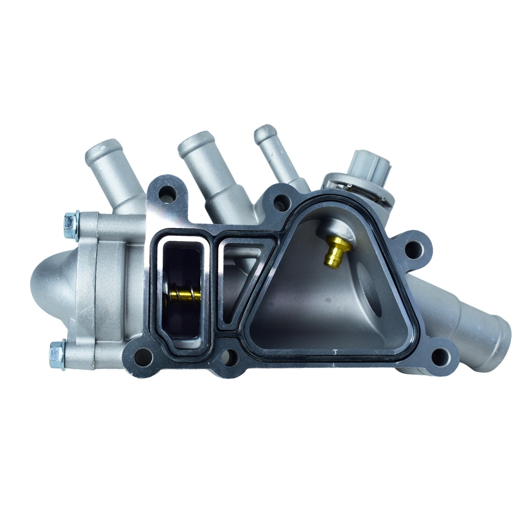 Termostato Completo - 1