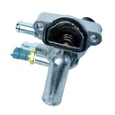 Termostato Completo - 1