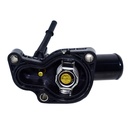 Termostato Completo - 2