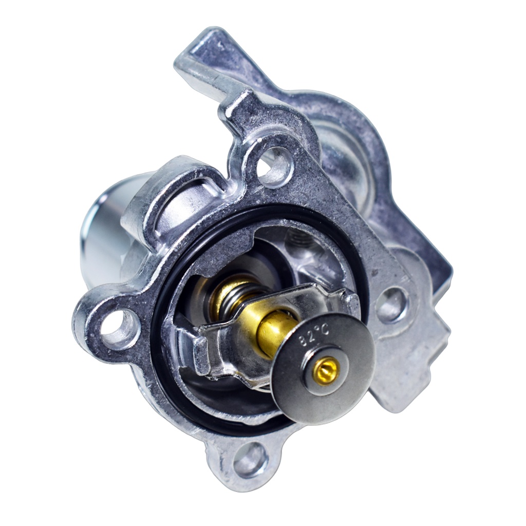 Termostato Completo - 0