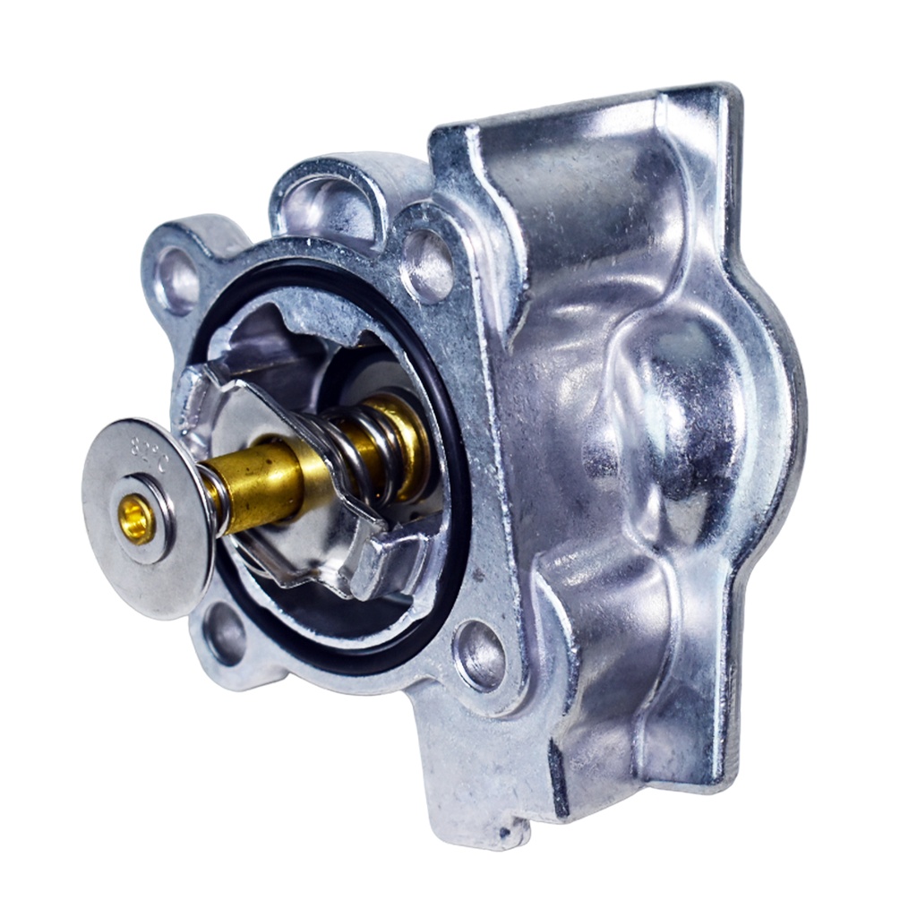 Termostato Completo - 1