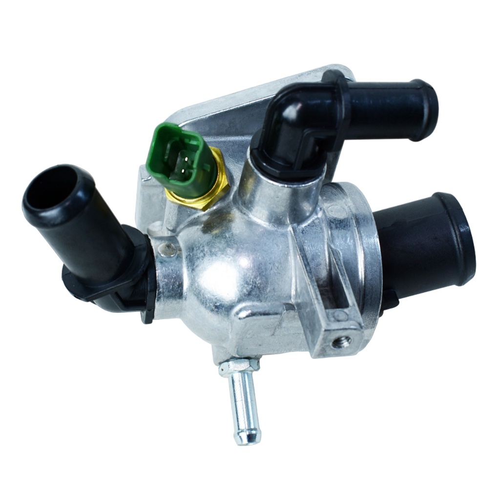 Termostato Completo - 1