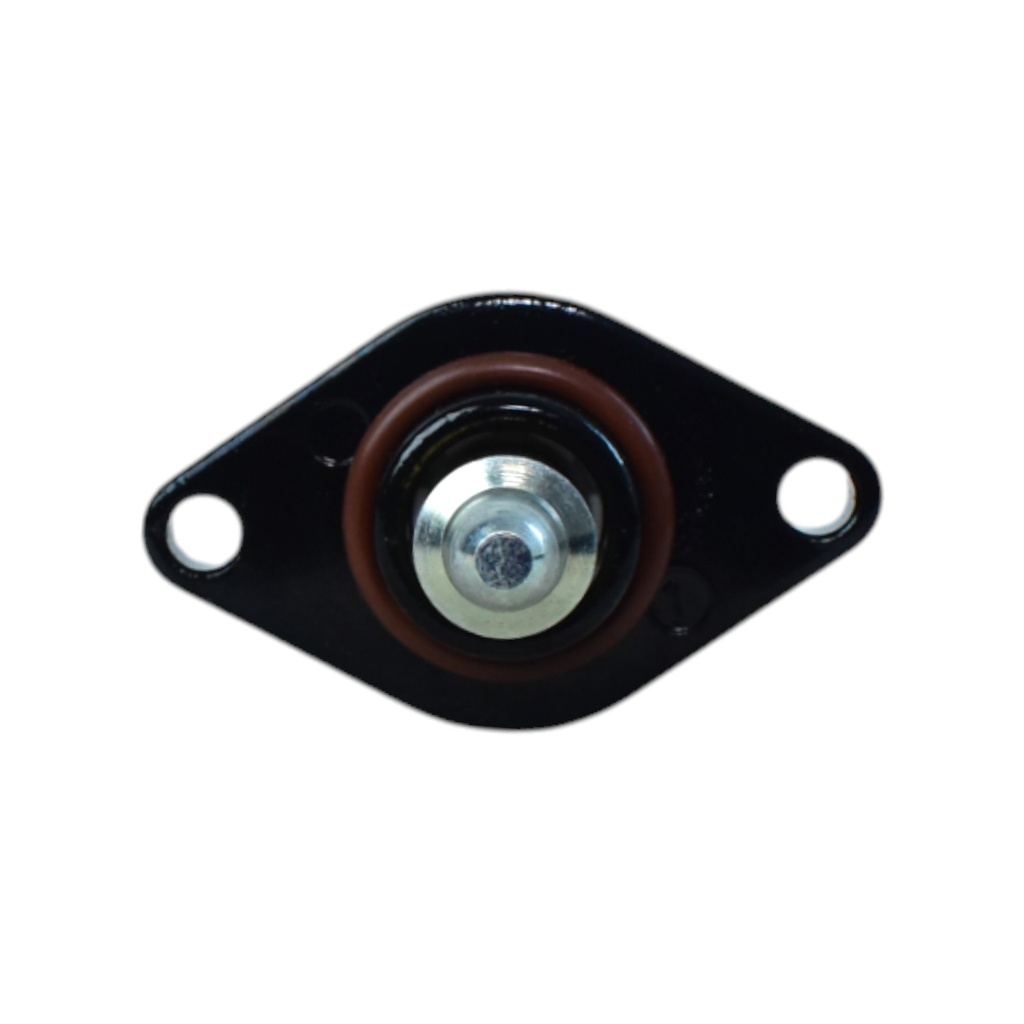 Motor Paso A Paso Electronico - 0