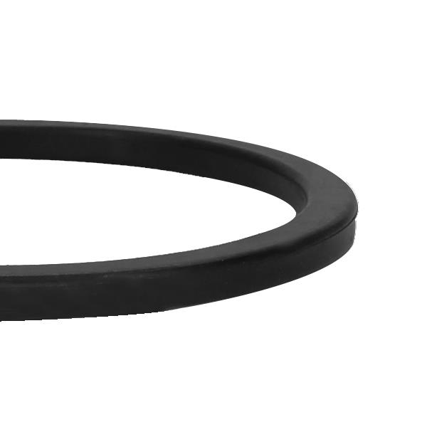 Junta De Goma Bomba De Combustible - 0