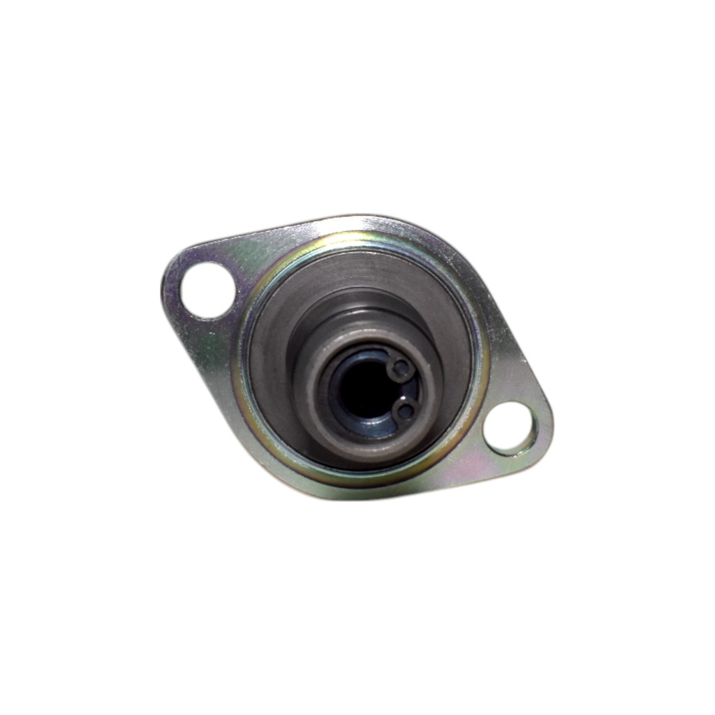 Valvula Reguladora De Presion De Combustible - 2