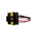 Ficha Para Inyeccion - 1