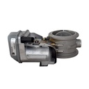 Mariposa Gases De Escape - 2