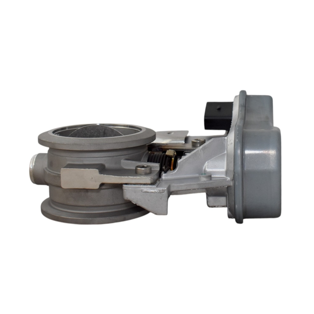 Mariposa Gases De Escape - 4