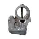 Mariposa Gases De Escape - 6