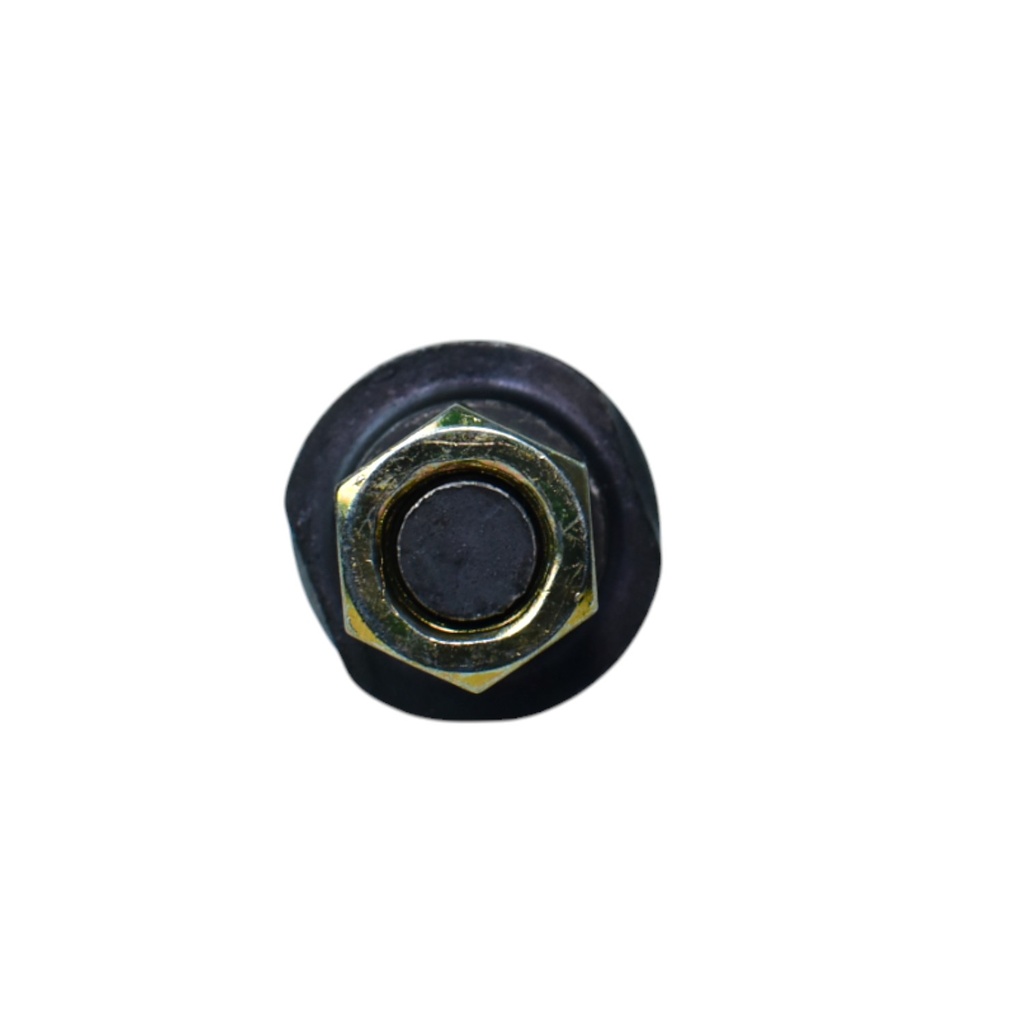 Articulacion Axial - Precap - 0