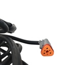 Mazo De Cables Con Rele - 3