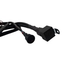 Mazo De Cables Con Rele - 2