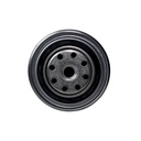 Filtro De Combustible - 1