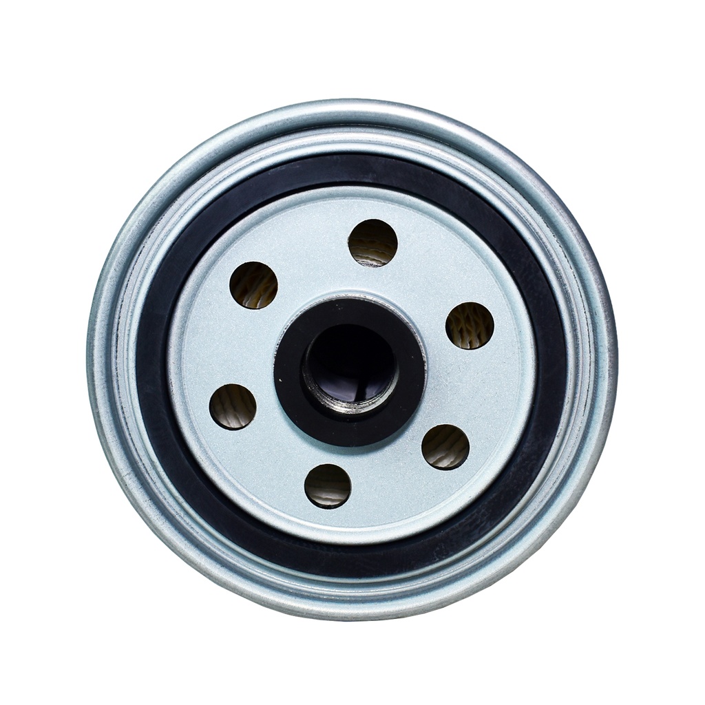 Filtro De Combustible - 1