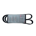 Correa Multicanal - 0