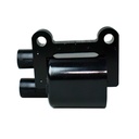 Bobina De Encendido - 2