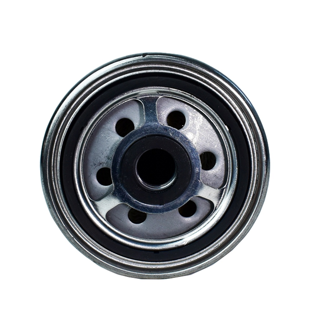 Filtro De Combustible - 1