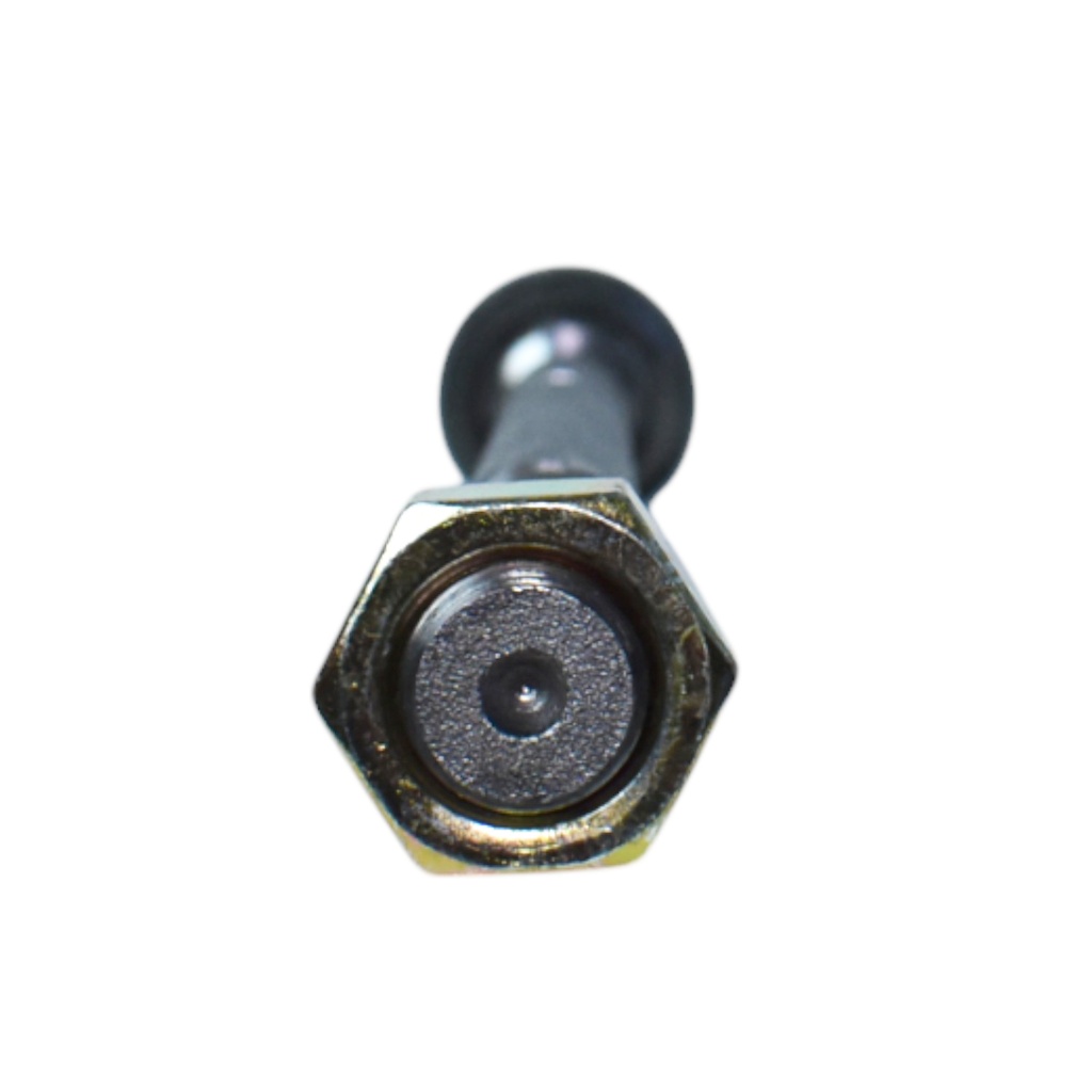 Articulacion Axial - Precap - 1