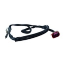 Sensor De Temperatura Egts - 0