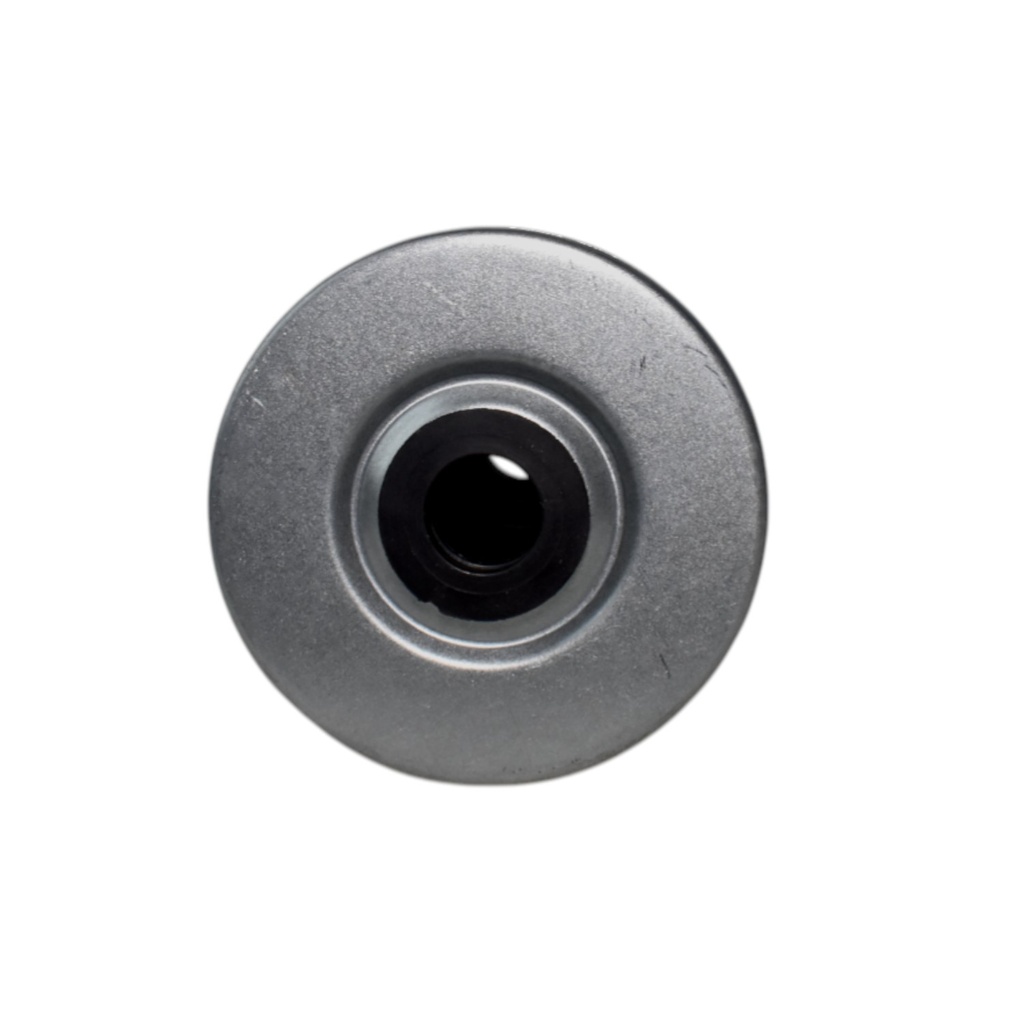 Filtro De Combustible - 1