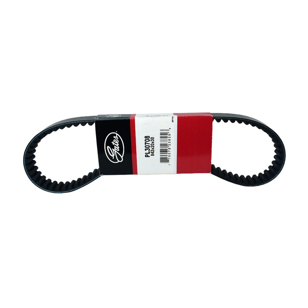 Correa De Transmision - 1