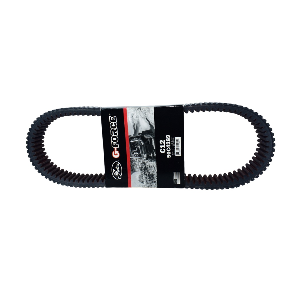 Correa De Transmision - 1