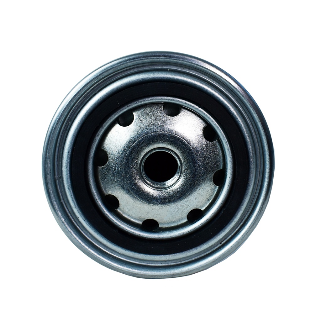 Filtro De Combustible - 1