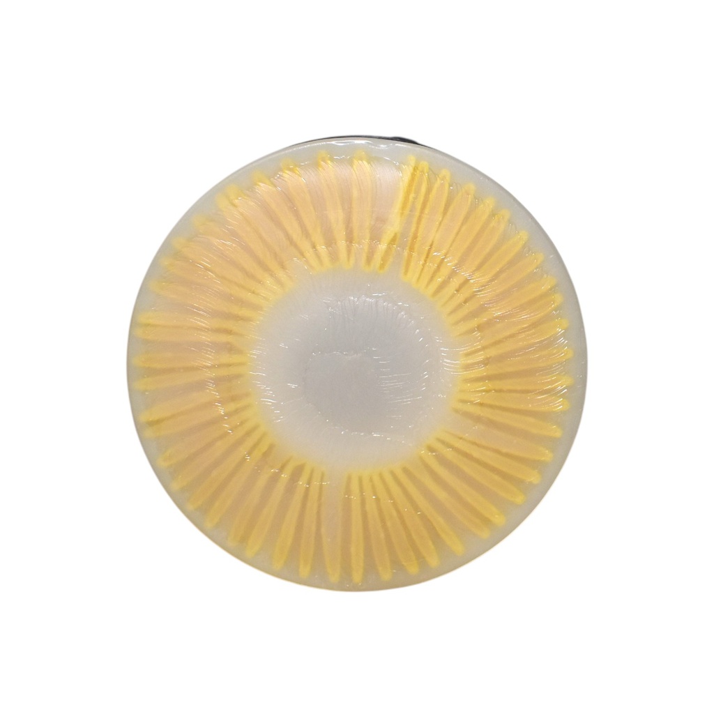 Filtro De Gasoil - 1