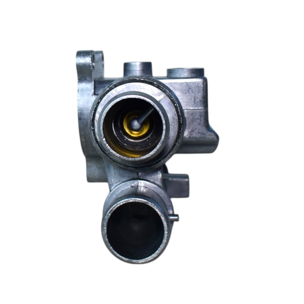 Termostato Completo - 1