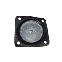 Diafragmas - Pistones - 1