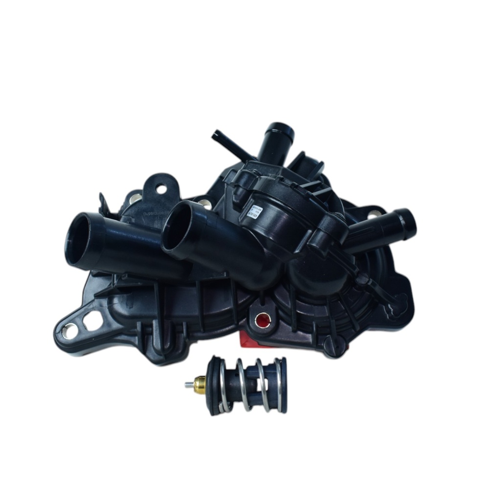 Termostato Completo - 1