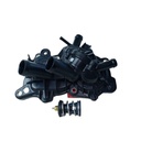 Termostato Completo - 1