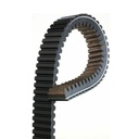 Correa De Transmision - 0