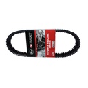 Correa De Transmision - 1