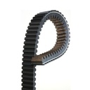 Correa De Transmision - 0