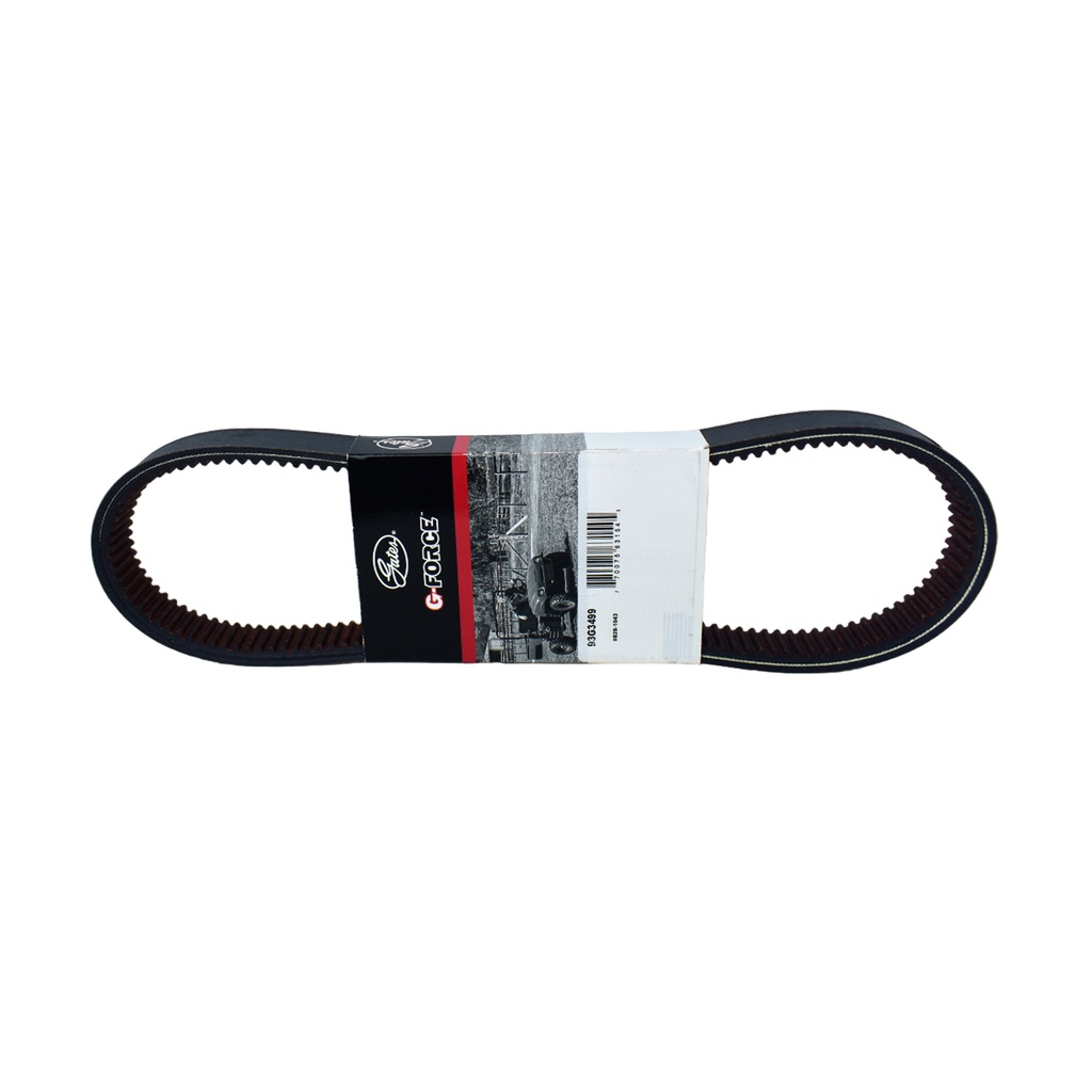 Correa De Transmision - 1