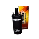 Bobina De Encendido - 1