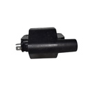 Bobina De Encendido - 2