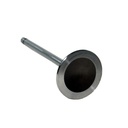 Valvula Admision - 0