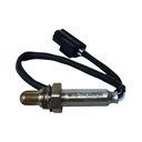 Sonda Lambda - 0