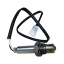 Sonda Lambda - 0
