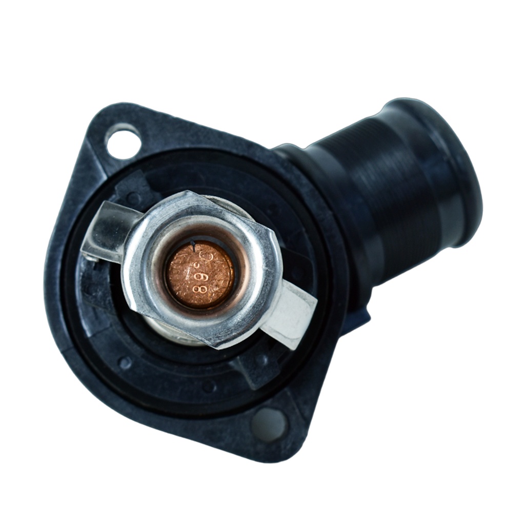 Termostato Completo - 1