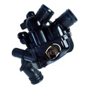 Termostato Completo - 2