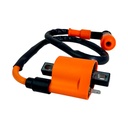 Bobina De Encendido - 2