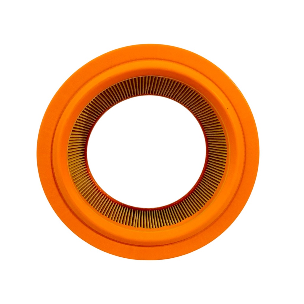 Filtro De Aire - 1