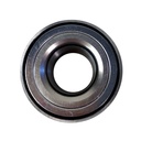 Rodamiento - Ruleman - 1