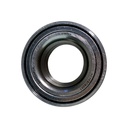 Rodamiento - Ruleman - 1