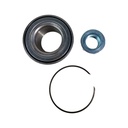 Rodamiento - Ruleman - 1