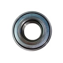 Rodamiento - Ruleman - 1